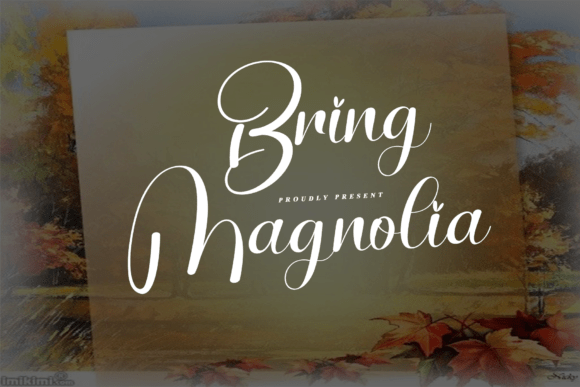 Bring Magnolia Font: A Designer’s Branding Test
