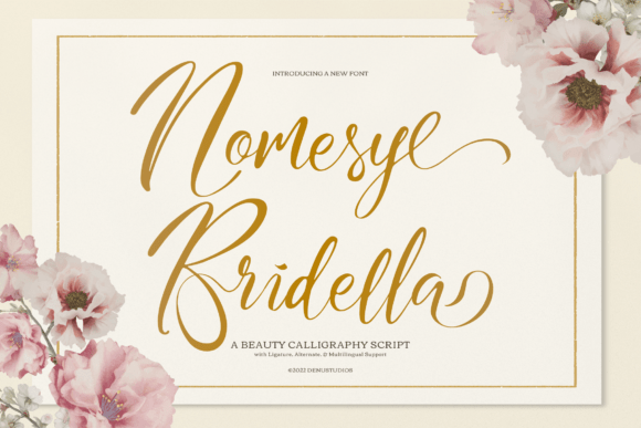 Nomesyl Bridella Font: Elevating Digital Brand Design