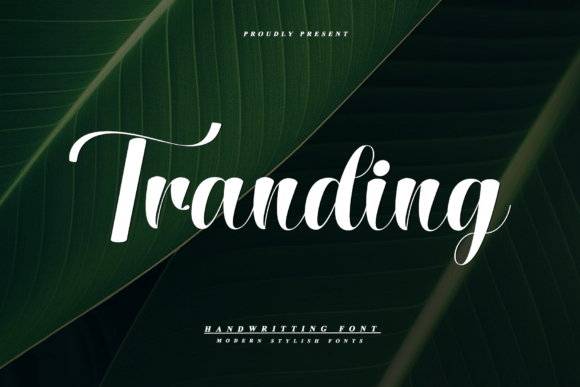 Tranding Font: Adding Warmth to Digital Layouts