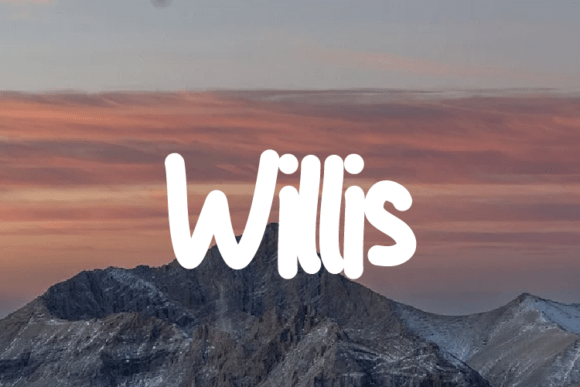 Willis Font: Modern Elegance for Editorial Layouts